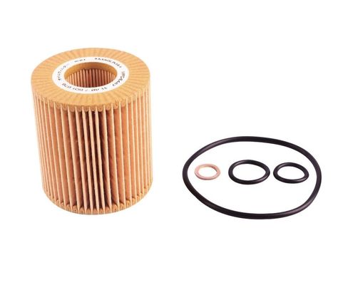 Motor do veículo Substituição de peças Filtro de óleo elemento 11427508969 Para BMW